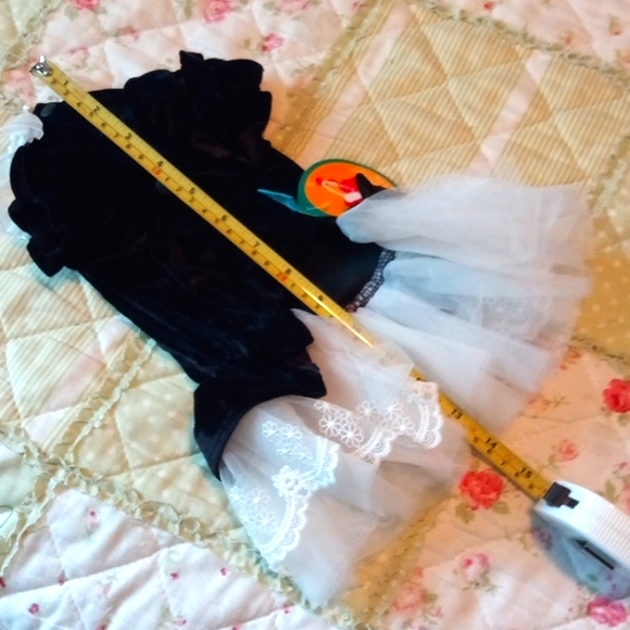 NWT Black Velvet Pet Dress - Picture 4 of 5